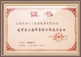 上海市专利工作试点企业
